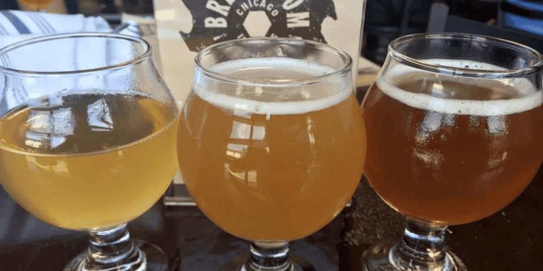 three glasses of beer on the chicago brewery tour
