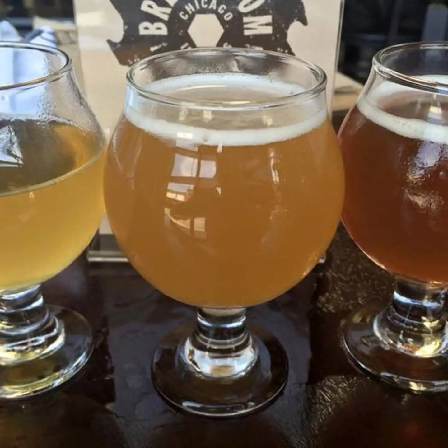 Assorted craft beers served in tulip glasses on a chicago brewery tour